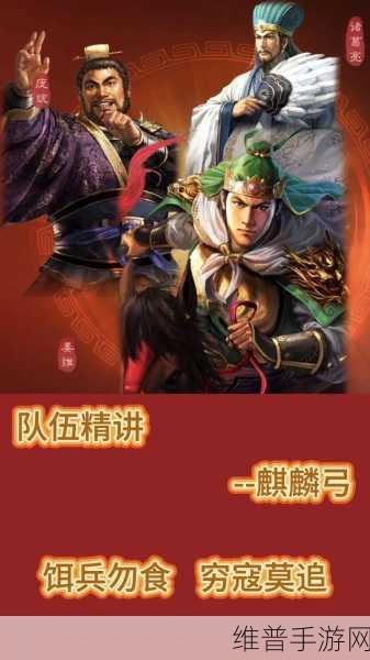 深度解析放开那三国 3 中的弓主奥秘