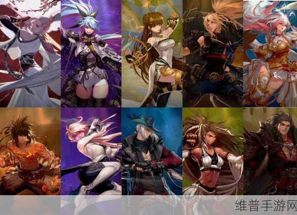 DNF 手游圣职者转职职业深度剖析与实力对比