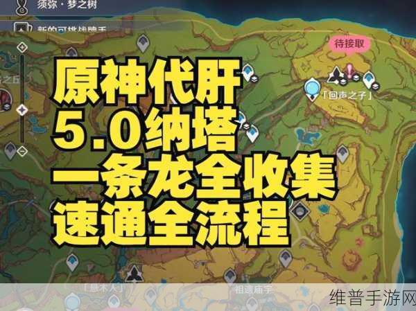 绝区零，捷足先登买手宝箱全收集秘籍