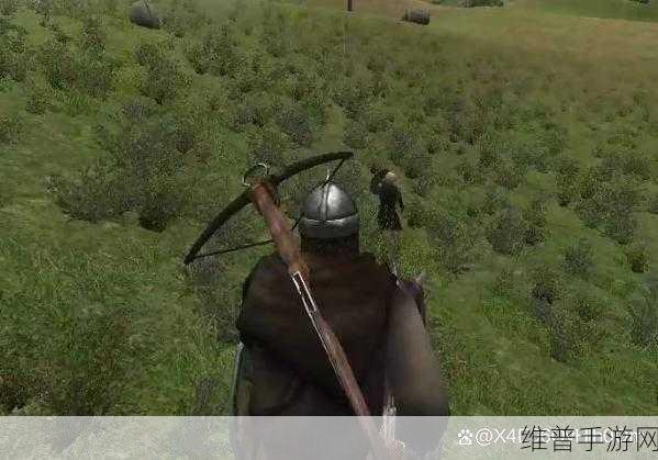 骑马与砍杀光明与黑暗驯马场全攻略指南