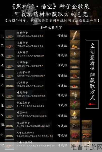黑神话悟空，双冠血获取秘籍大公开
