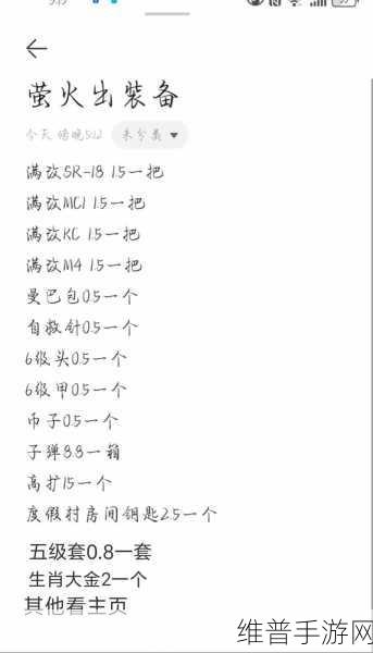 萤火突击，仓库升级秘籍大公开