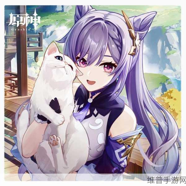 原神刻晴，物理流与雷伤流的巅峰对决
