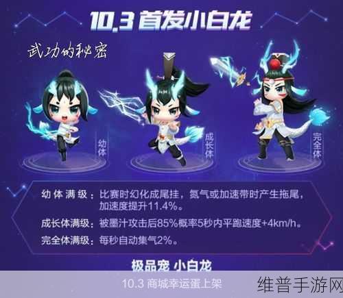 QQ 飞车手游宠物小白龙实力全解析