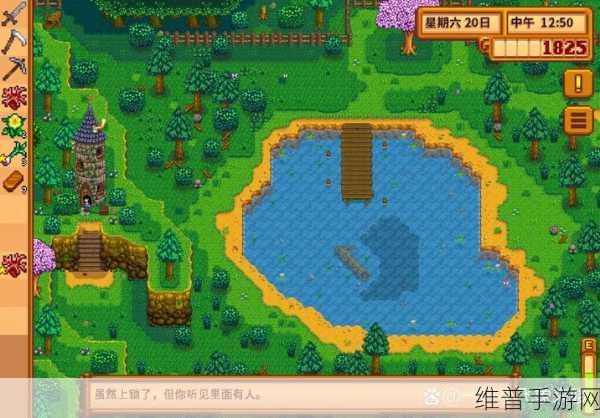 星露谷物语法师塔地下室探秘指南