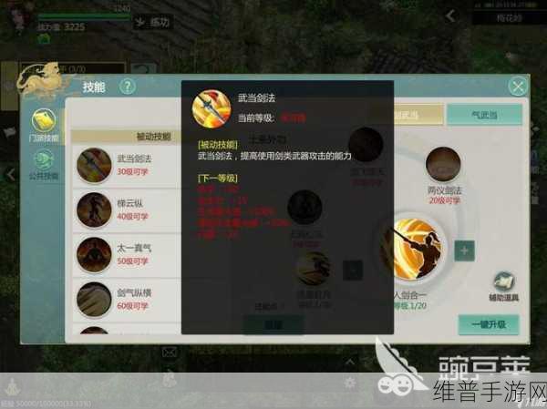 剑侠世界2武当门派技能加点全攻略，高效刷图必备技能配置指南