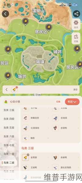 心动小镇鸟站架搭建全攻略，吸引鸟儿驻足的详细步骤