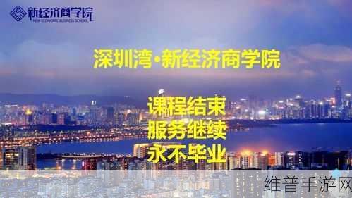 笛杨咨询，手游领域的创新服务策略，共筑长期共赢生态