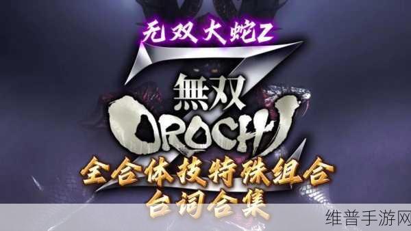 无双大蛇 3 合体神术释放全攻略
