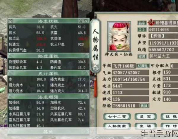 大话西游 2 手游男仙 120 级装备完美搭配指南