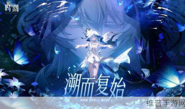 鸣潮守岸人星级之谜，全面解读与深度剖析