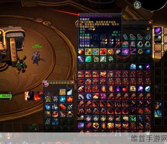 深入探索，单机版魔兽世界GM命令助你轻松查装备