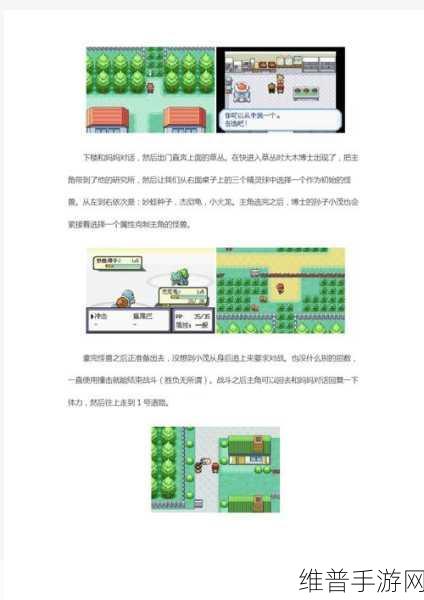 口袋妖怪火红全面流程攻略