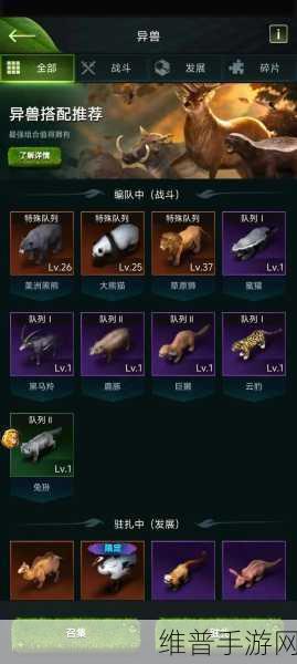 动物王者手游攻略，揭秘哪些动物角色最强势