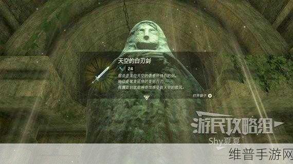 塞尔达传说王国之泪，天空的白刃剑获取秘籍