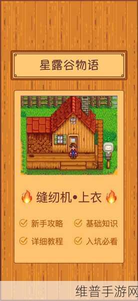 星露谷物语，制衣秘籍大公开