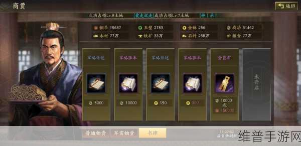 三国志战略版卡顿优化秘籍，畅玩不再受阻