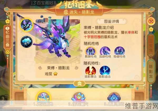 梦幻手游暗影龙任务全解析与攻略指南