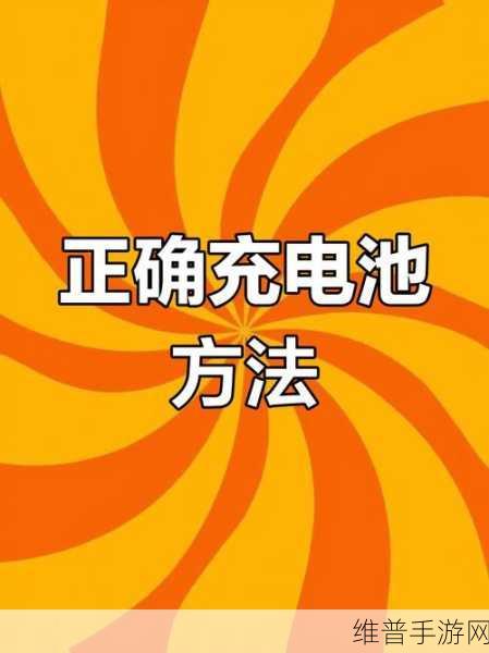 手游玩家必备，铅酸蓄电池充电技巧与注意事项详解