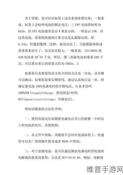 手游玩家必备,铅酸蓄电池充电技巧与注意事项详解