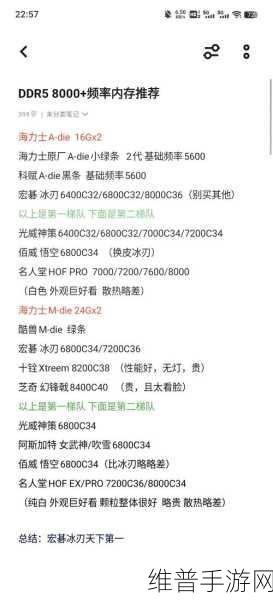 DDR内存超频技巧与注意事项，手游公司视角下的性能提升攻略