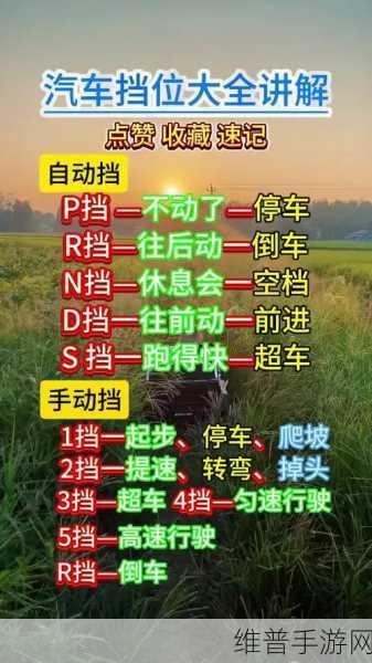 自动挡VS手动挡，手游操控模式深度解析，厂家揭秘助你早知早受益