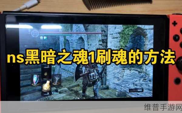 黑暗之魂重制版前期及后期最快刷魂攻略，黑暗之魂怎么刷魂快