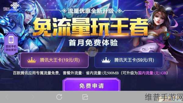 王者荣耀专属流量包详解,移动用户如何享受游戏流量优惠