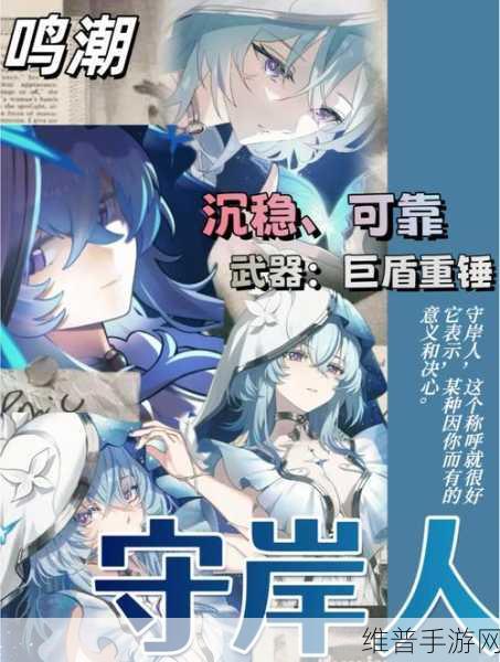鸣潮，深入剖析共鸣者守岸人的精准定位