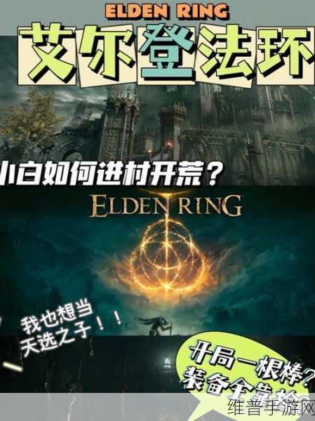 揭秘艾尔登法环，召唤系职业深度解析与玩法特色探索之旅