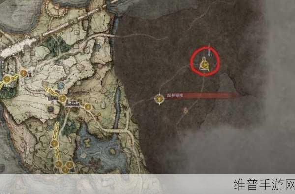 艾尔登法环深度攻略,揭秘刷钱最快的地方与技巧