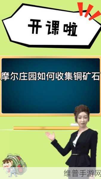 摩尔庄园手游铜矿石获取攻略，全面解析与挖掘地点