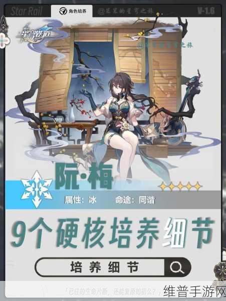 崩坏星穹铁道阮梅专武深度解析与抽取建议