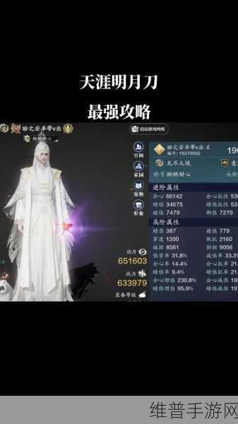 天涯明月刀手游，全新职业排行深度解析