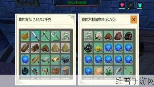 创造与魔法新手必备，全面揭秘游戏中R术语含义