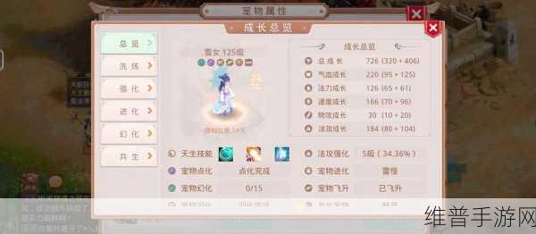 问道手游金系加点与玩法深度剖析