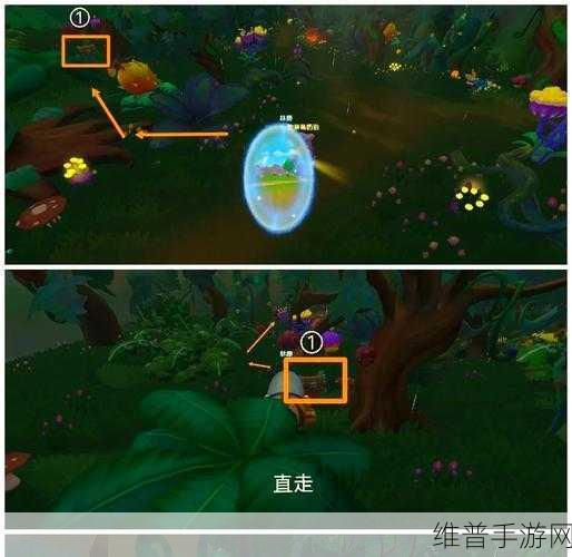 摩尔庄园手游全攻略，揭秘精灵分布位置与捕捉技巧