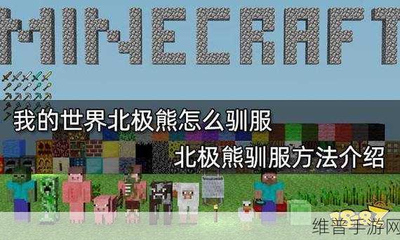 我的世界驯服北极熊秘籍大公开