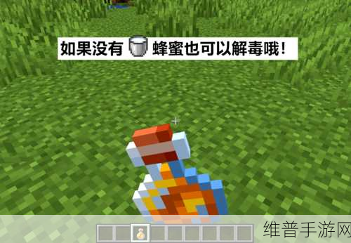 我的世界驯服北极熊秘籍大公开