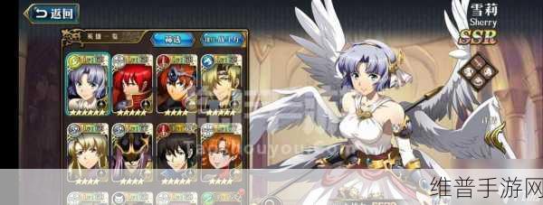 梦幻模拟战手游雷丁装备搭配全攻略