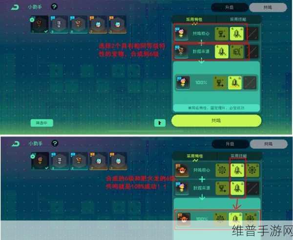 霓虹深渊，无限宠物仙人掌三代全解析