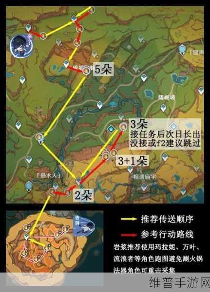 原神海露花高效采集路线图全解析
