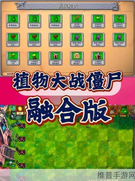 植物大战僵尸高效刷钱攻略，解锁财富秘籍，畅享游戏乐趣