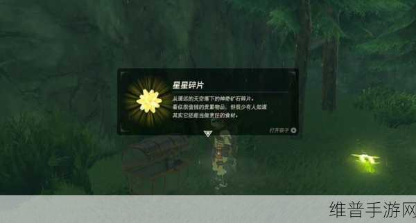 恶意不息手游攻略，全面解析武器碎片获取之道