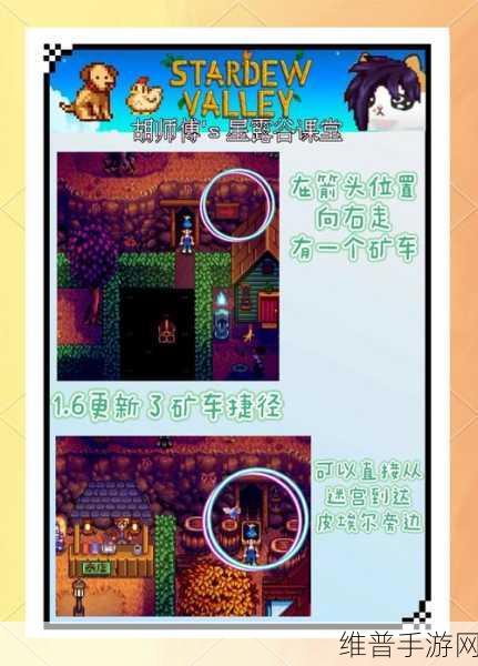 星露谷物语丢失物品找回全攻略