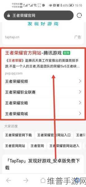 王者荣耀体验服申请全解析，成为游戏先锋的必备指南