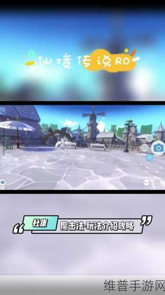仙境传说手游攻略,武僧流派深度解析与推荐