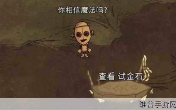 饥荒试金石,解锁生存新可能的神秘道具