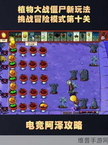 植物大战僵尸5-10关通关秘籍，全面解析与策略指导