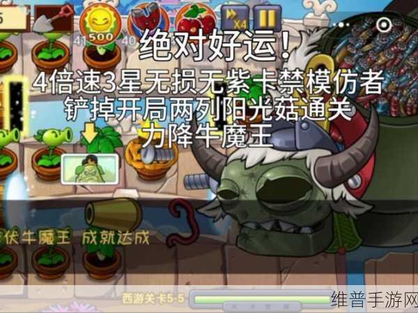 植物大战僵尸5-10关通关秘籍，全面解析与策略指导